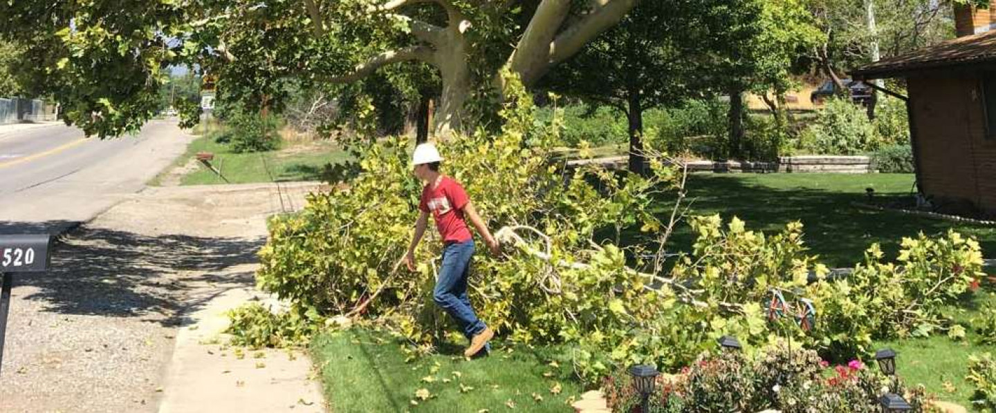 Tree Leaning Dangerously Toward Your Home?